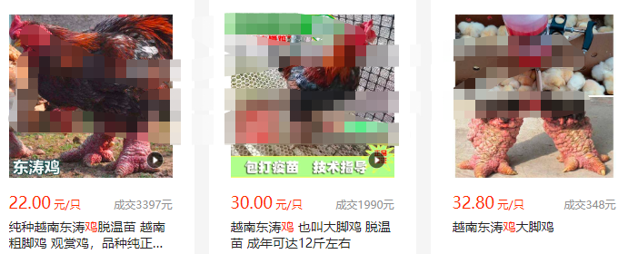 养一只赚500，8个月收益达50万！一个新兴的养殖项目~