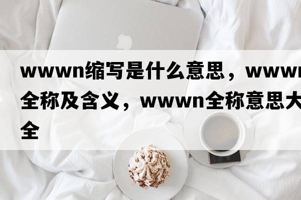 wwwn缩写是什么意思，wwwn的全称及含义，wwwn全称意思大全